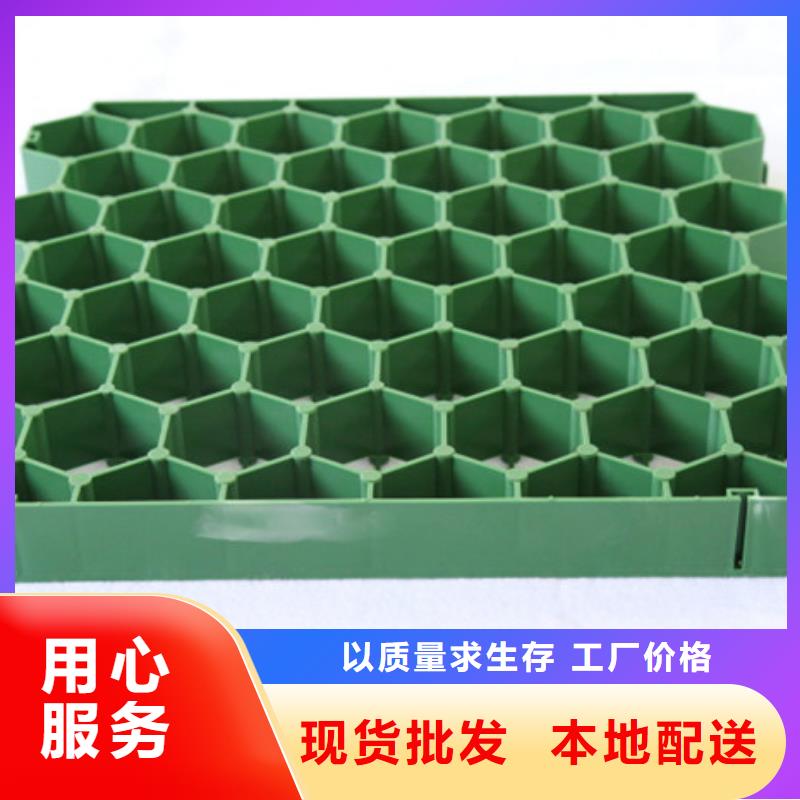 植草格排水板商家直供