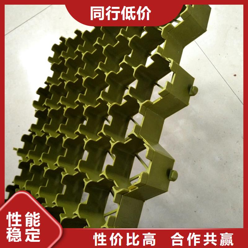植草格排水板商家直供