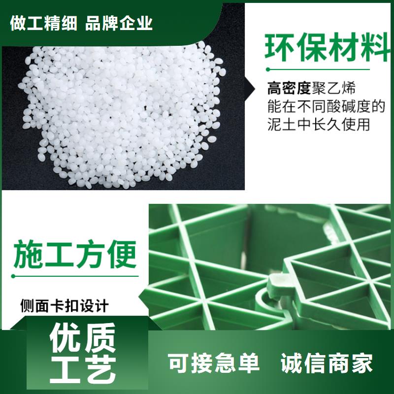 植草格排水板商家直供