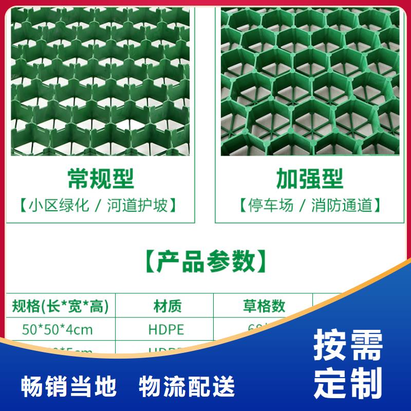 植草格排水板商家直供