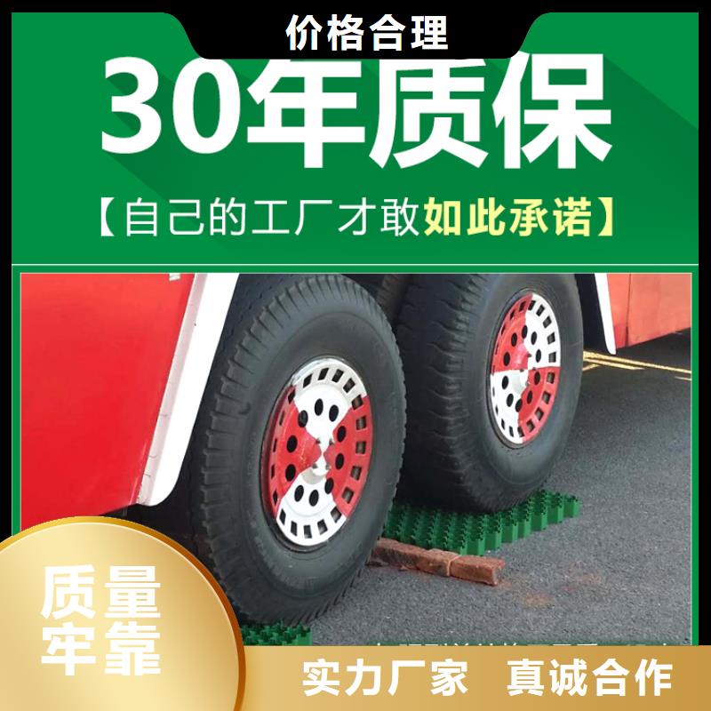 植草格排水板商家直供