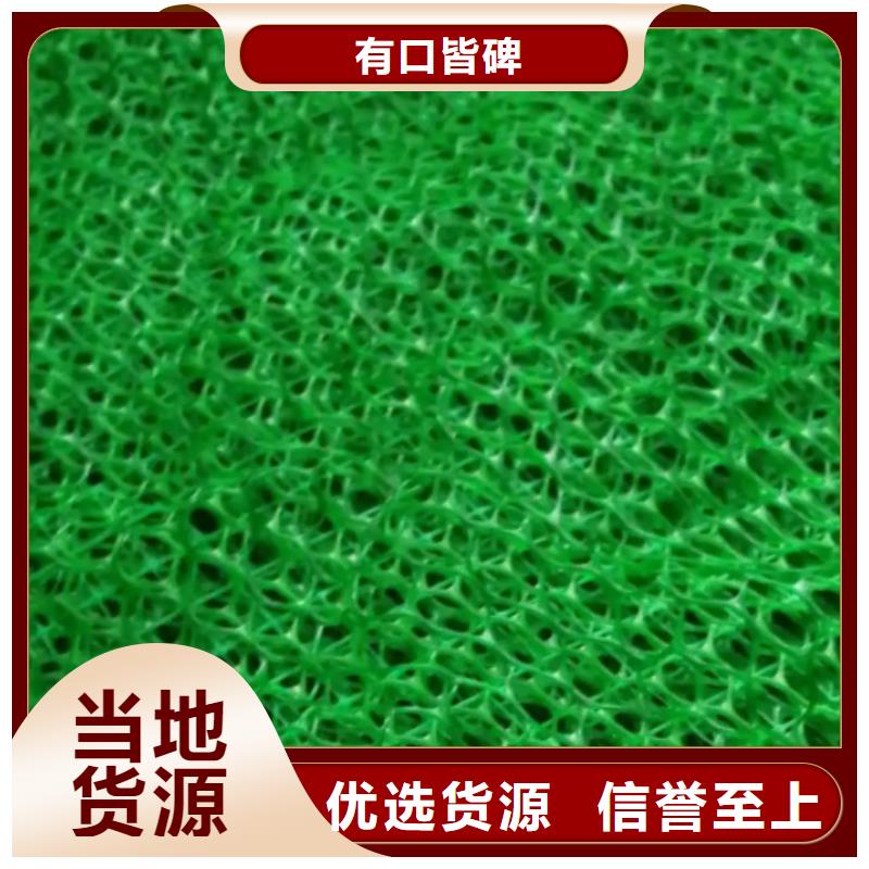 三维植被网-防护虹吸排水收集系统按需定做