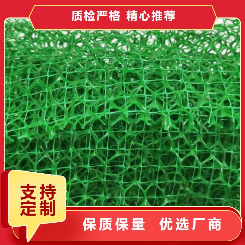 三维植被网化粪池水泥按需定制真材实料