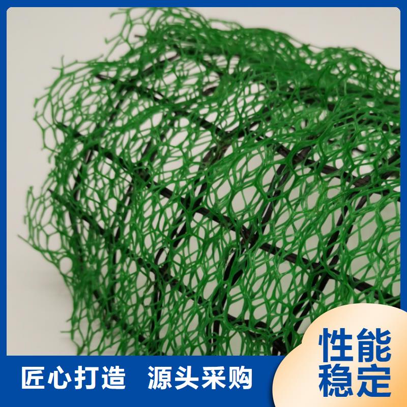三维植被网-防护虹吸排水收集系统按需定做
