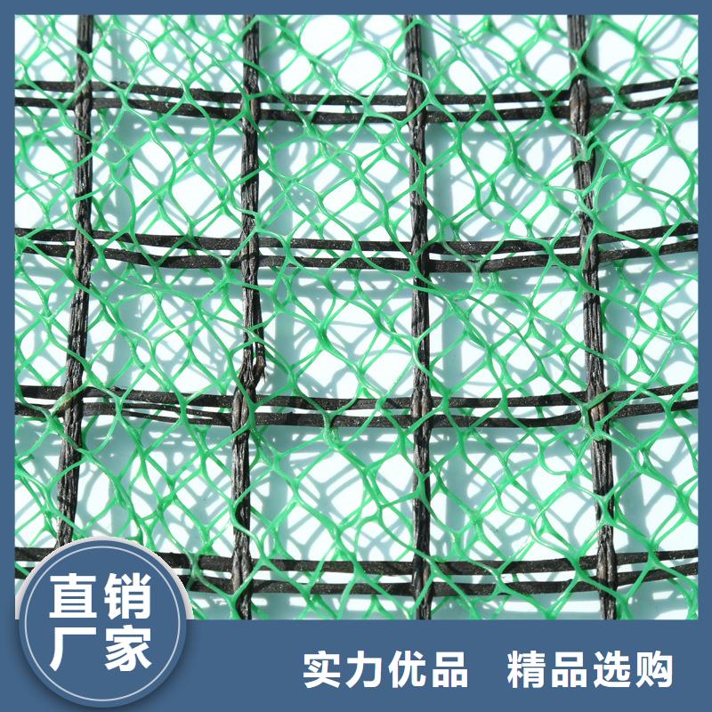 三维植被网植草格货源足质量好
