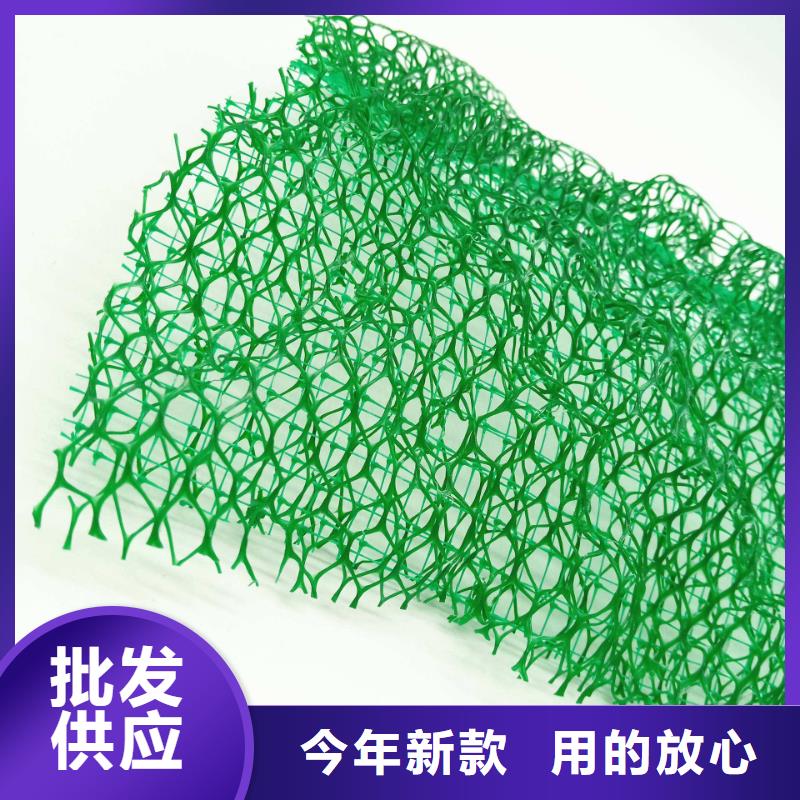 三维植被网-防护虹吸排水收集系统按需定做