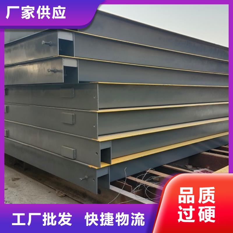 进贤 电子地磅,上门地磅快速发货