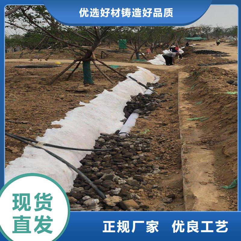 渗水盲管图片现货直销