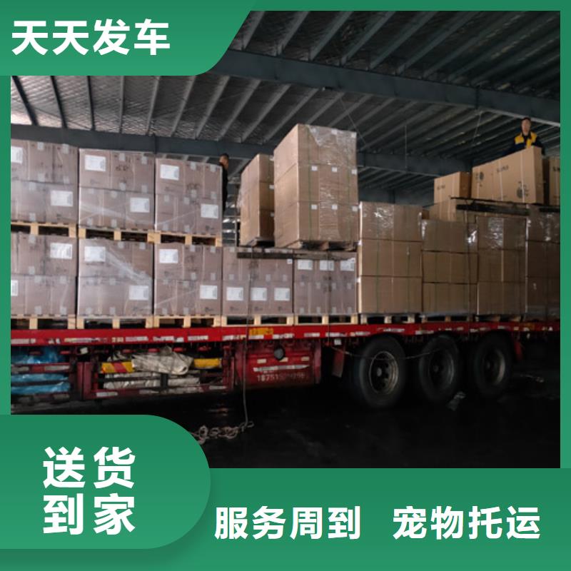 嘉定到广东物流公司