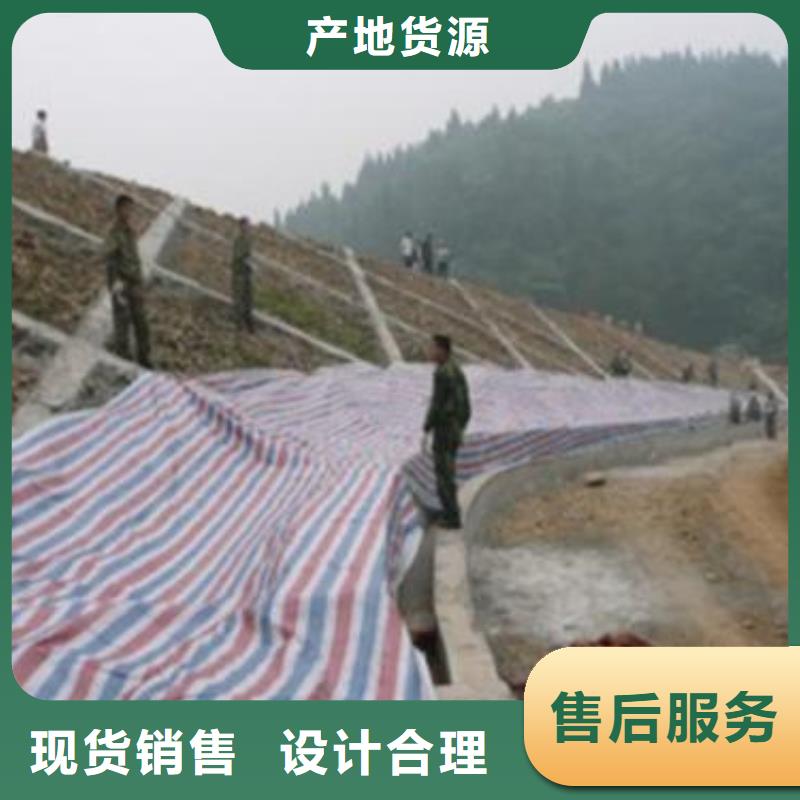 【彩条布_塑料编彩条布好产品价格低】