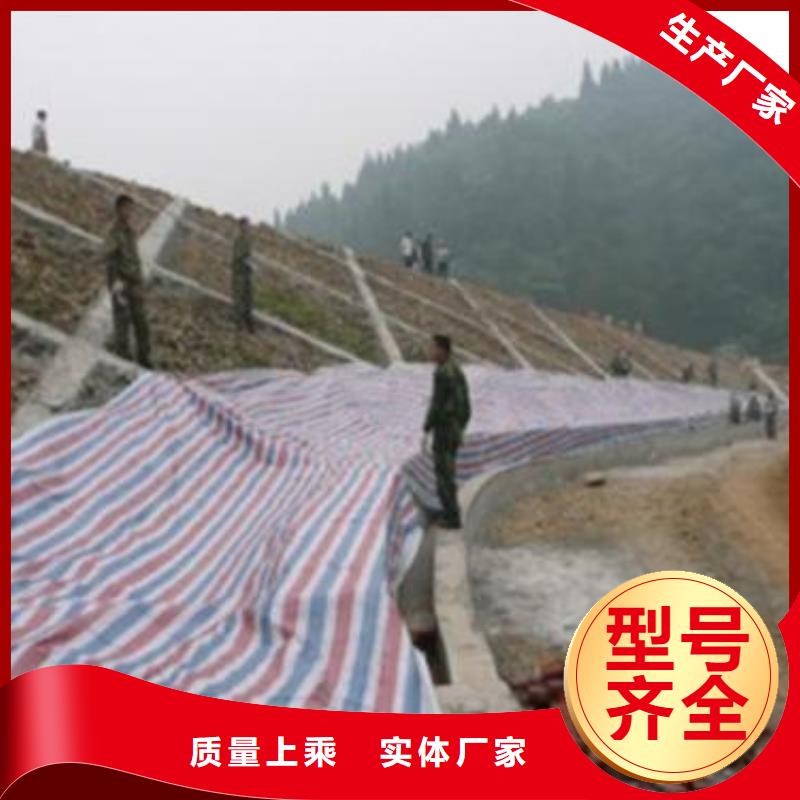 彩条布,防雨篷布定制速度快工期短