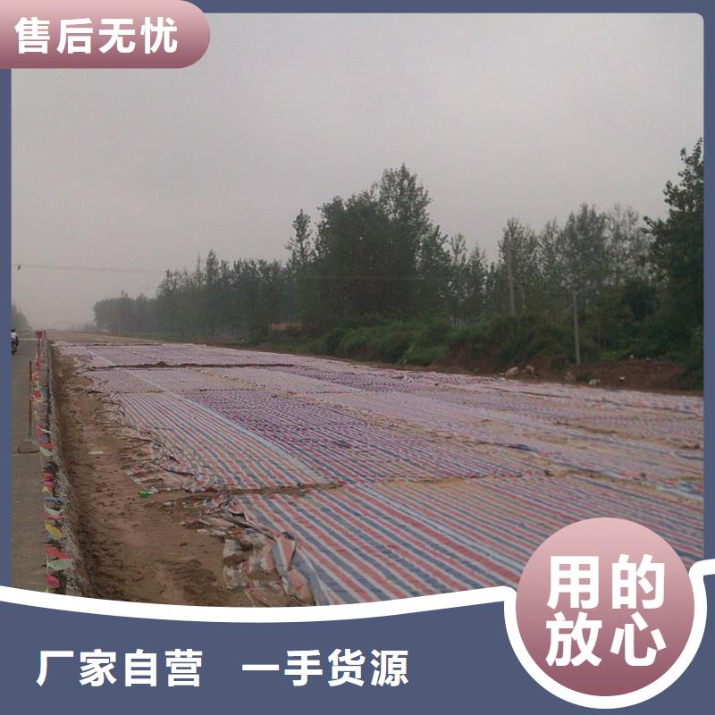 彩条布外贸篷布厂家