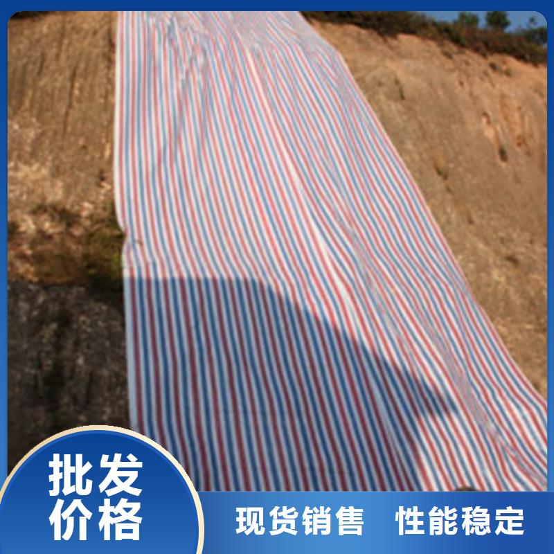 彩条布外贸篷布厂家