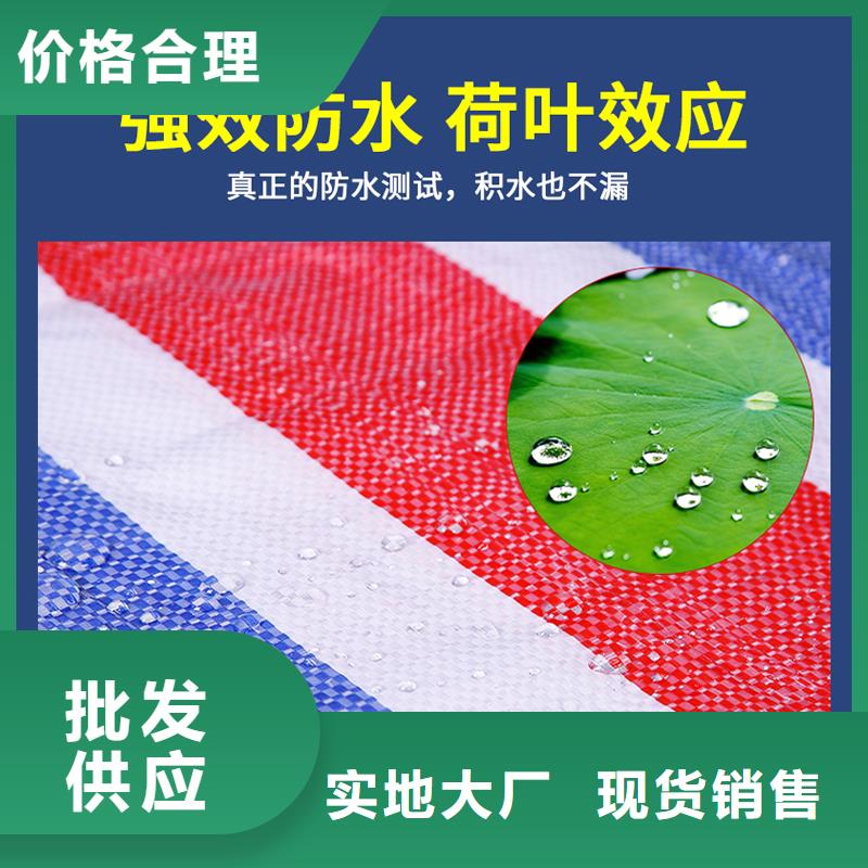 彩条布外贸篷布厂家