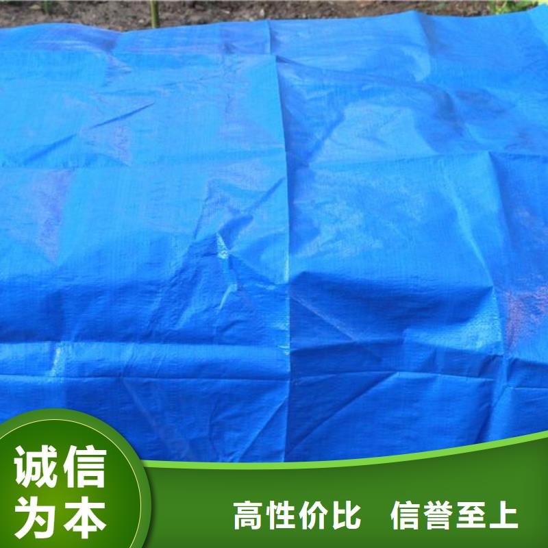 防雨布,塑料防雨布可接急单