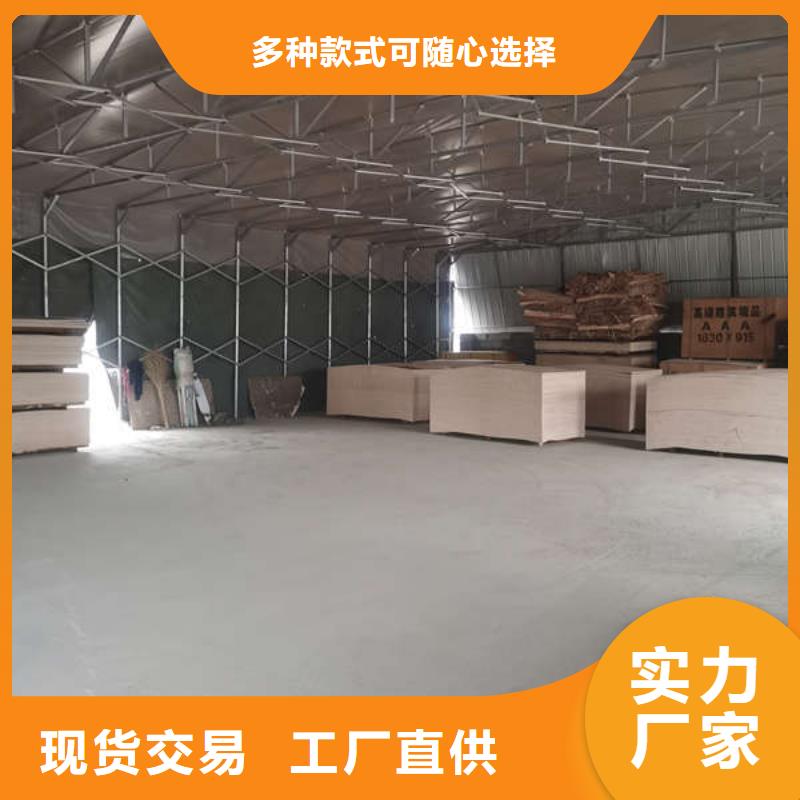 电动伸缩篷支持定制