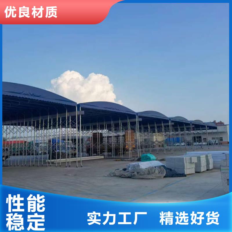 电动篷10年经验