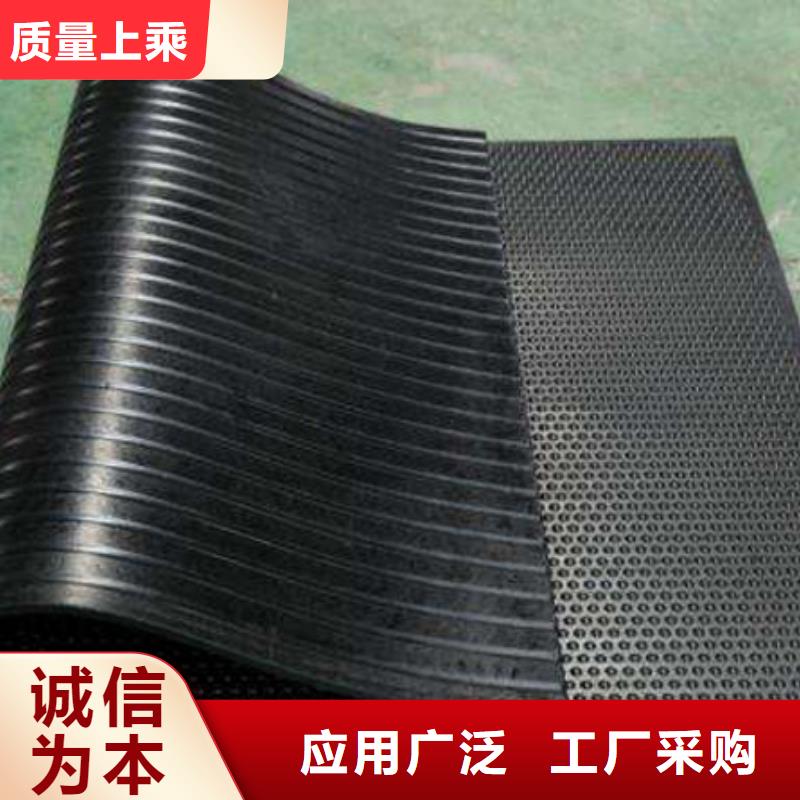 橡胶垫杀菌锅塑料隔板厂家直销直供