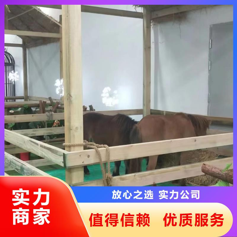 欢迎访问#梅花鹿出租厂家#