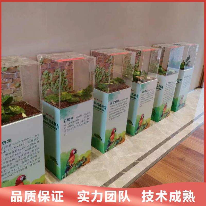 2026欢迎访问##小萌宠出租##实体厂家