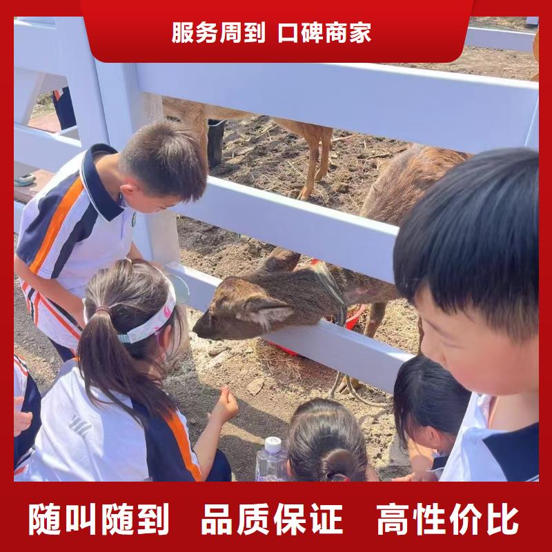 正规策划活动生产厂家