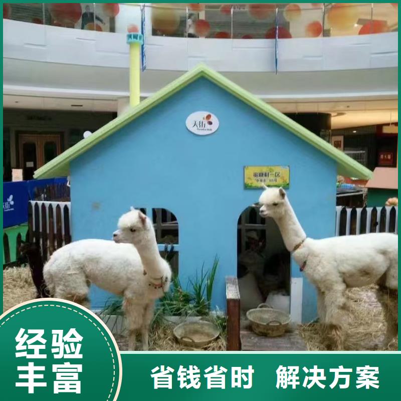 正规策划活动生产厂家