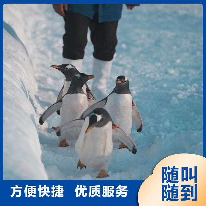 策划活动高端定制