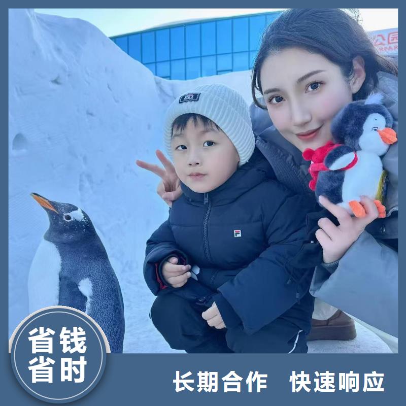 企鹅展_企鹅展厂家