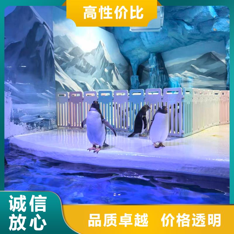 帝企鹅 _多年生产经验厂家