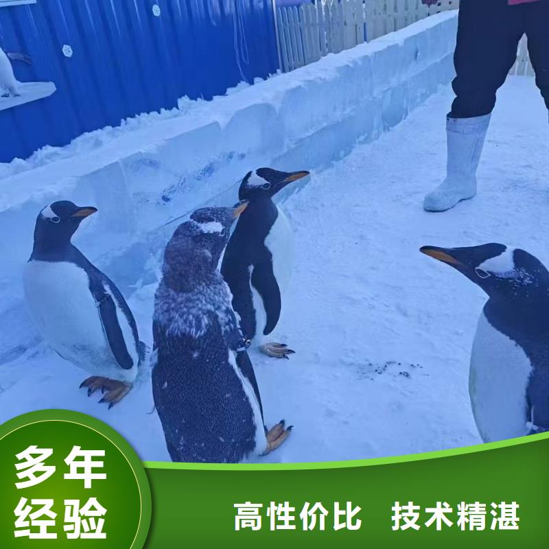 #企鹅出租#欢迎来厂参观