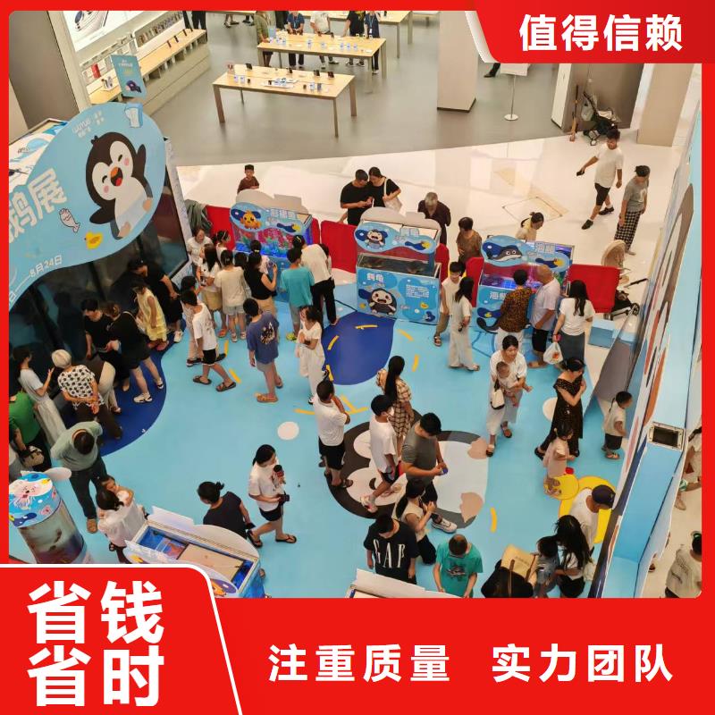 企鹅出租价格行情