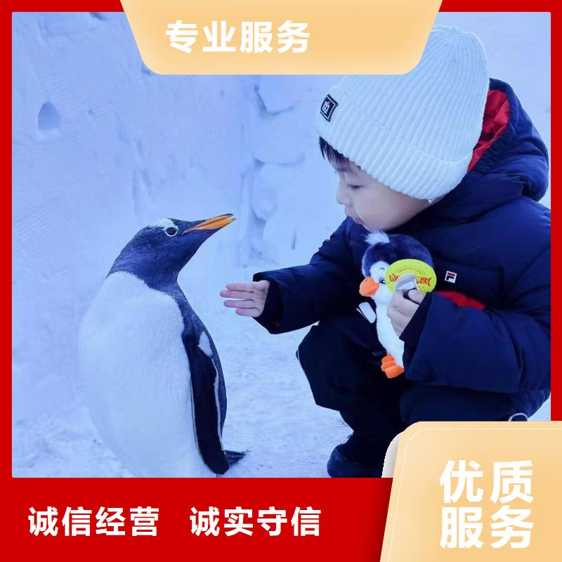 企鹅出租厂家实力雄厚