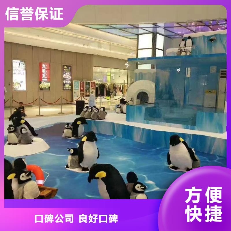 企鹅出租厂家,发货快