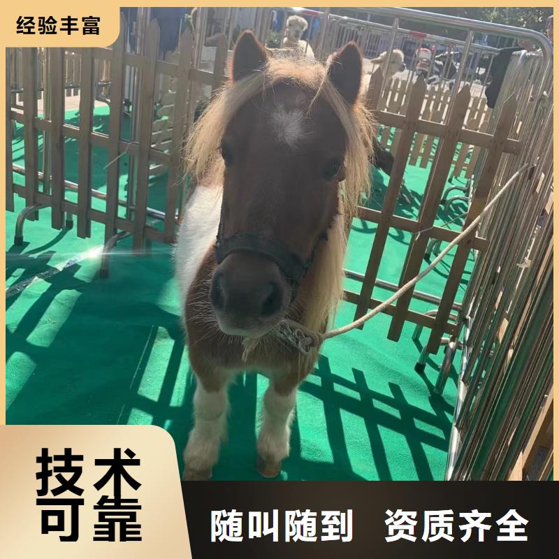 海洋展租赁-视频-新抚|东洲|大连|沈阳|丹东|本溪海洋展租赁|抚顺市海洋展租赁