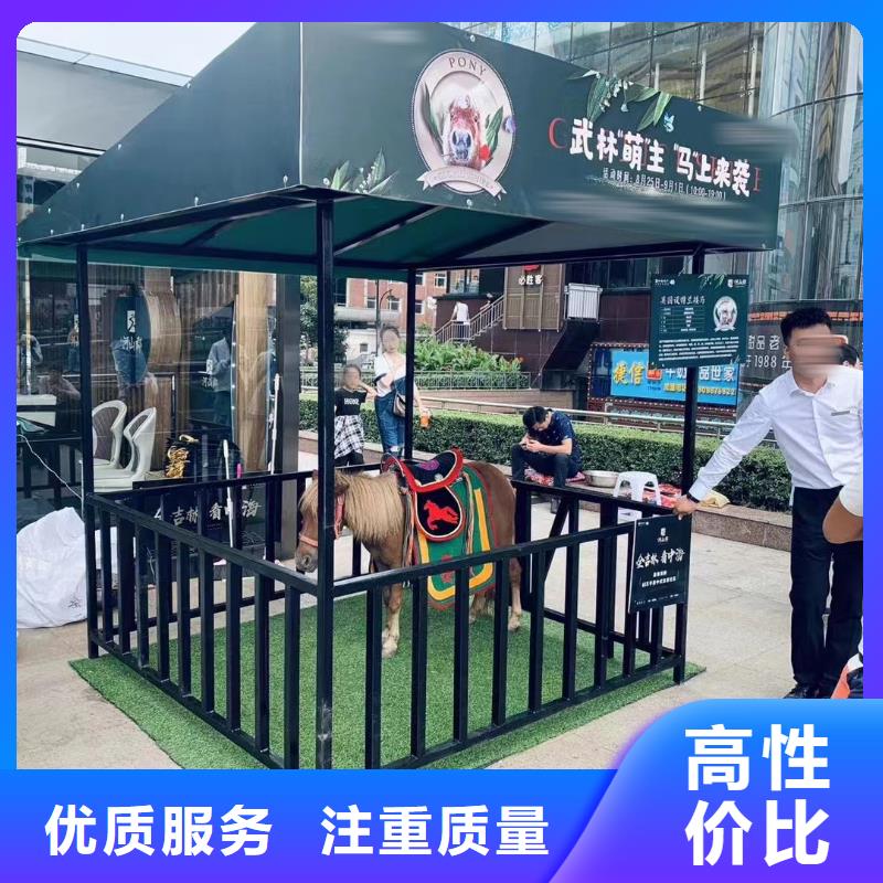 【马戏团/羊驼】 马戏团表演价格美丽