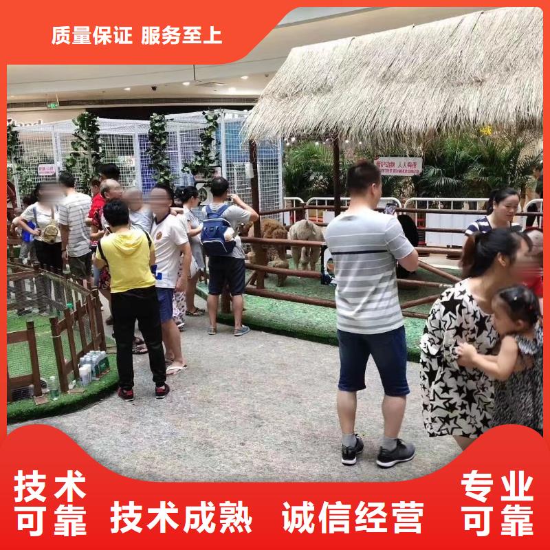 马戏团/羊驼-出租企鹅服务热情