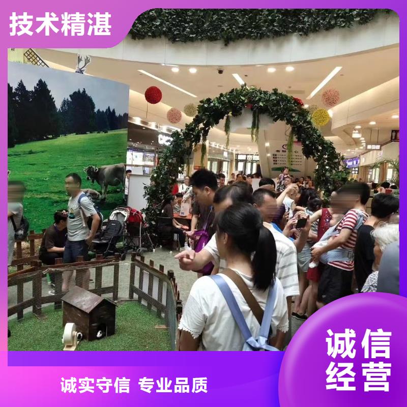 马戏团/羊驼 马戏团表演价格美丽