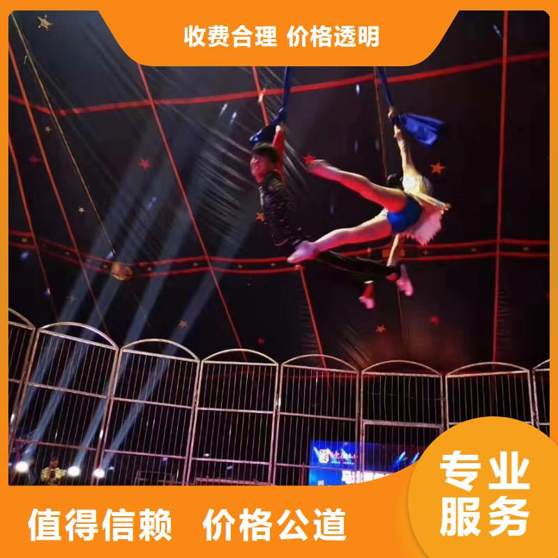 马戏团/羊驼【海狮表演】2025公司