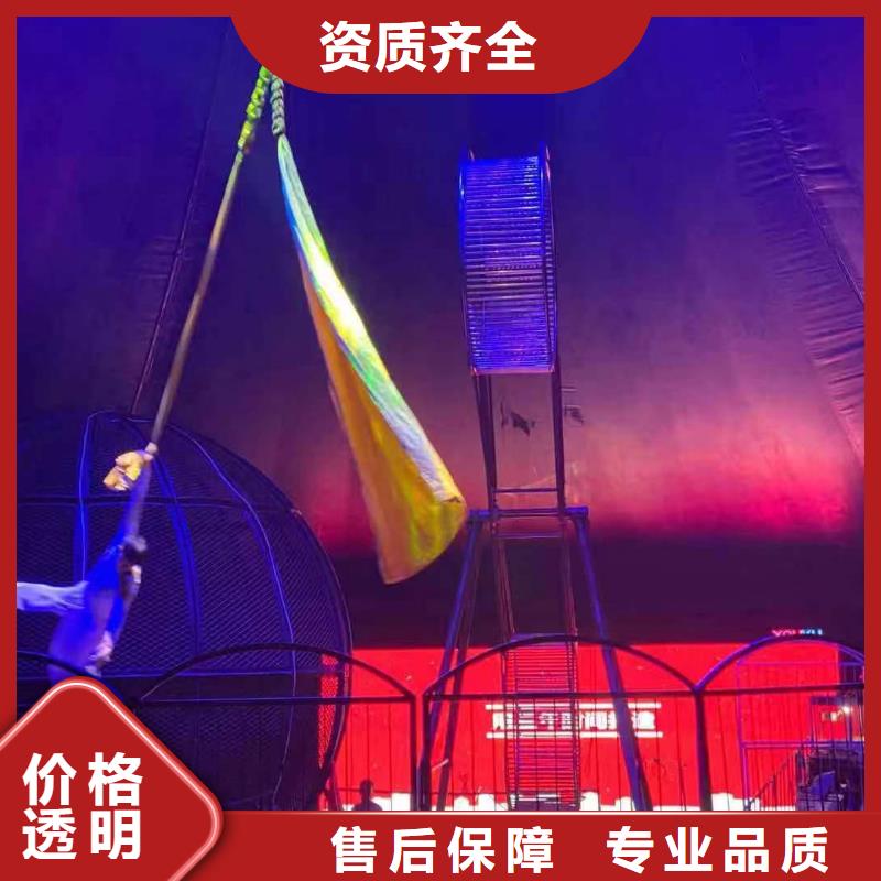 马戏团/羊驼 企鹅租赁技术精湛
