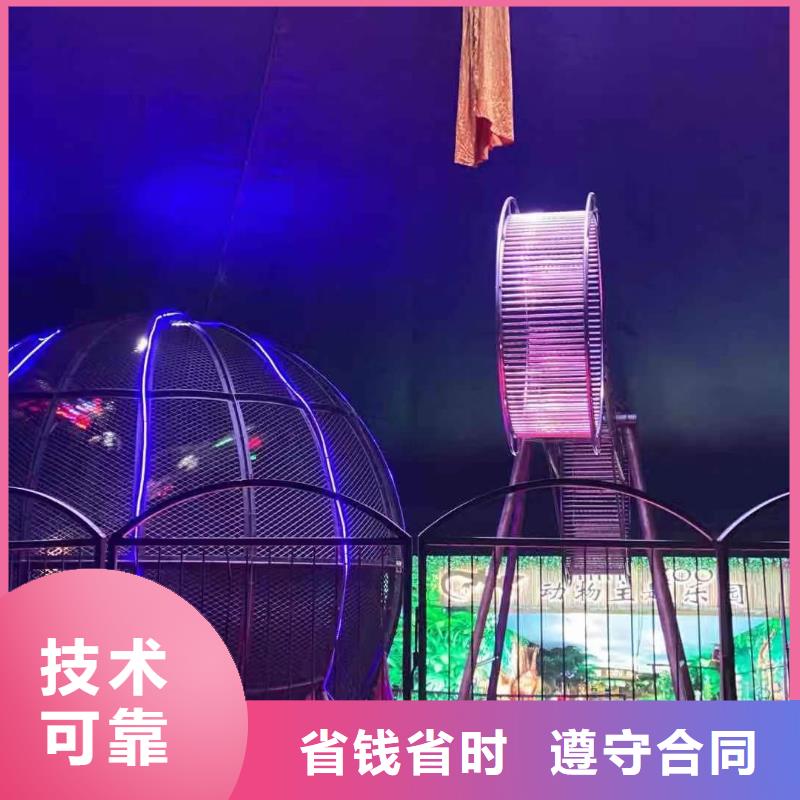 马戏团/羊驼【海狮表演租赁】专业品质