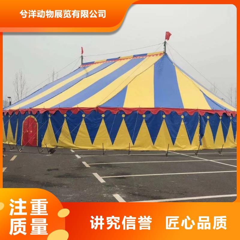 马戏团/羊驼-出租企鹅服务热情