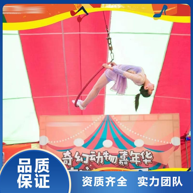 马戏团/羊驼-出租企鹅服务热情