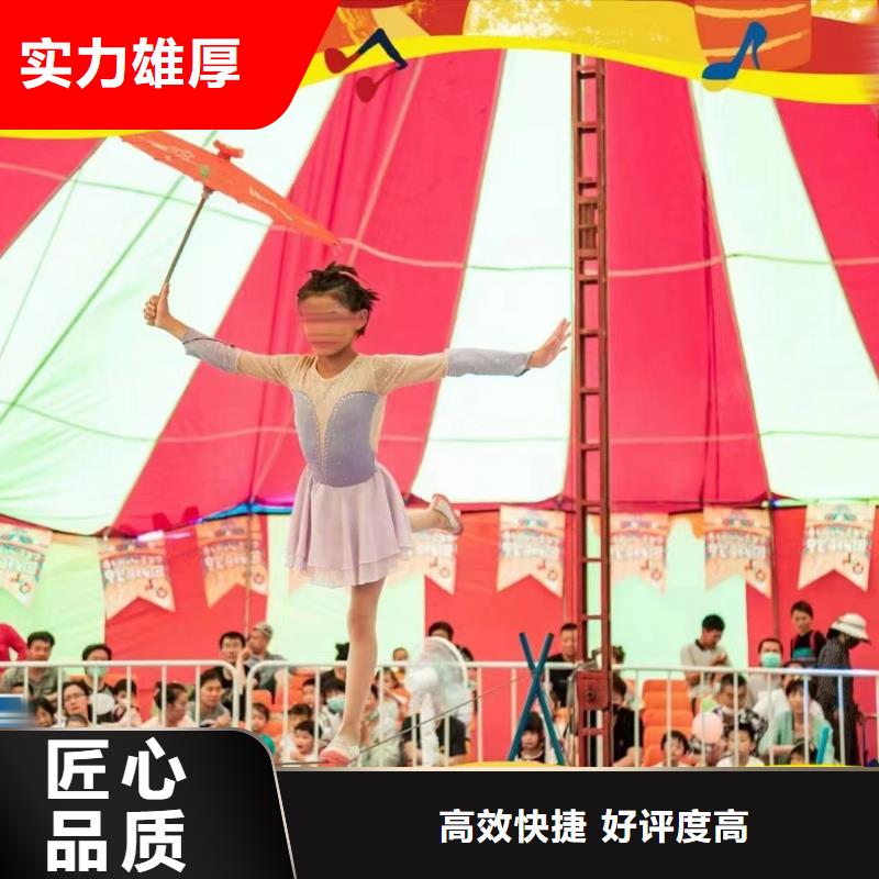 马戏团/羊驼-出租企鹅服务热情