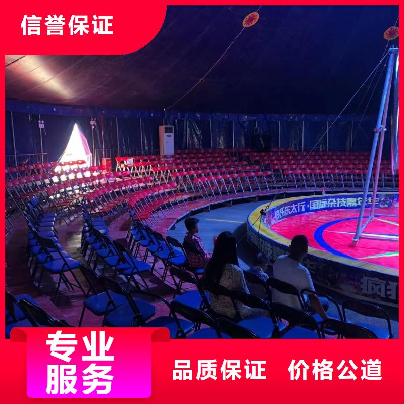 马戏团/羊驼-出租企鹅服务热情