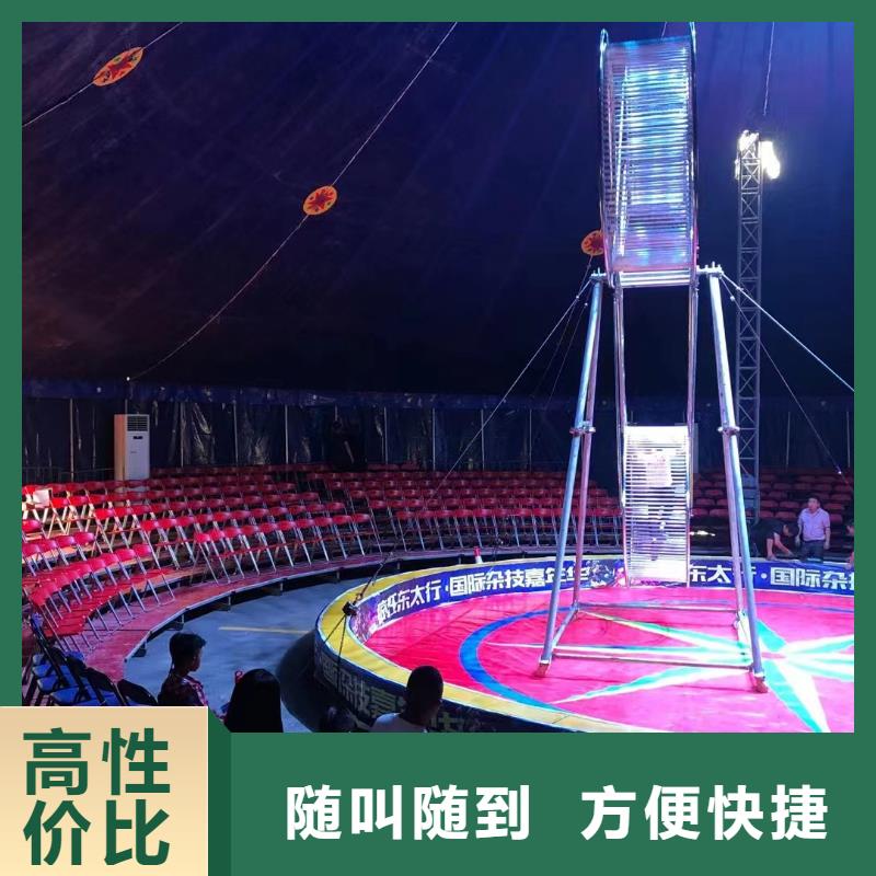 马戏团/羊驼-出租企鹅服务热情