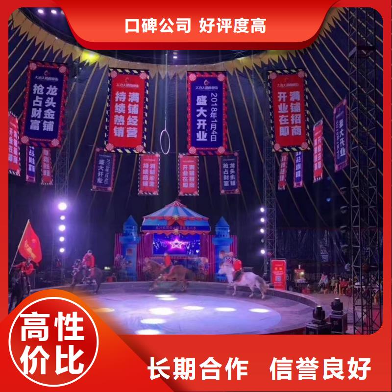 马戏团/羊驼-出租企鹅服务热情