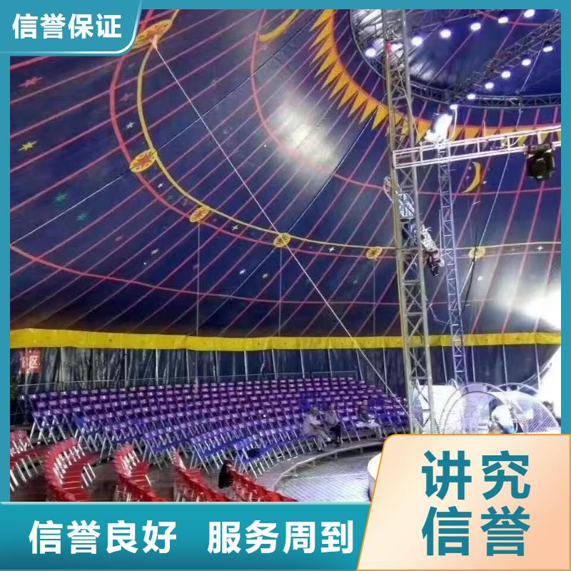 贵池【当地】马戏团/羊驼出租羊驼价格透明