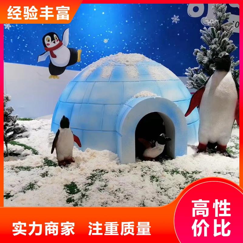 海洋主题动物表演羊驼出租2025公司