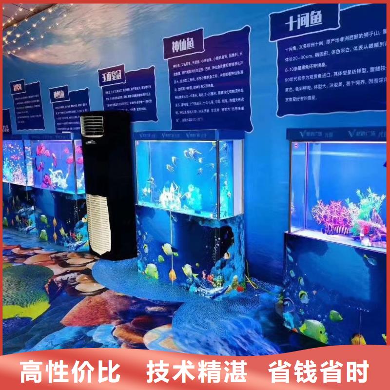 海洋主题动物表演【企鹅表演出租】高品质