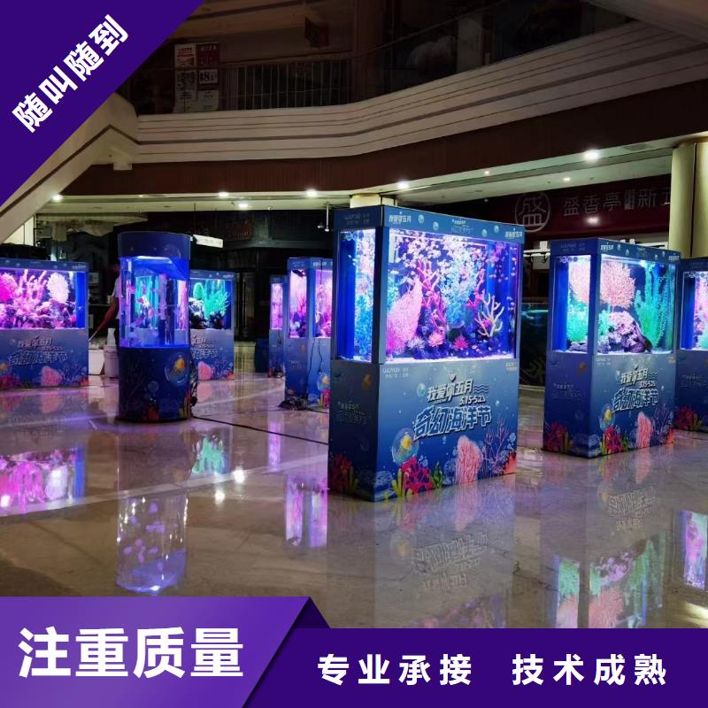 海洋主题动物表演【企鹅表演出租】高品质